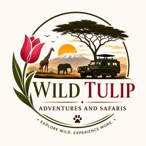 WILD TULIP ADVENTURES AND SAFARIS